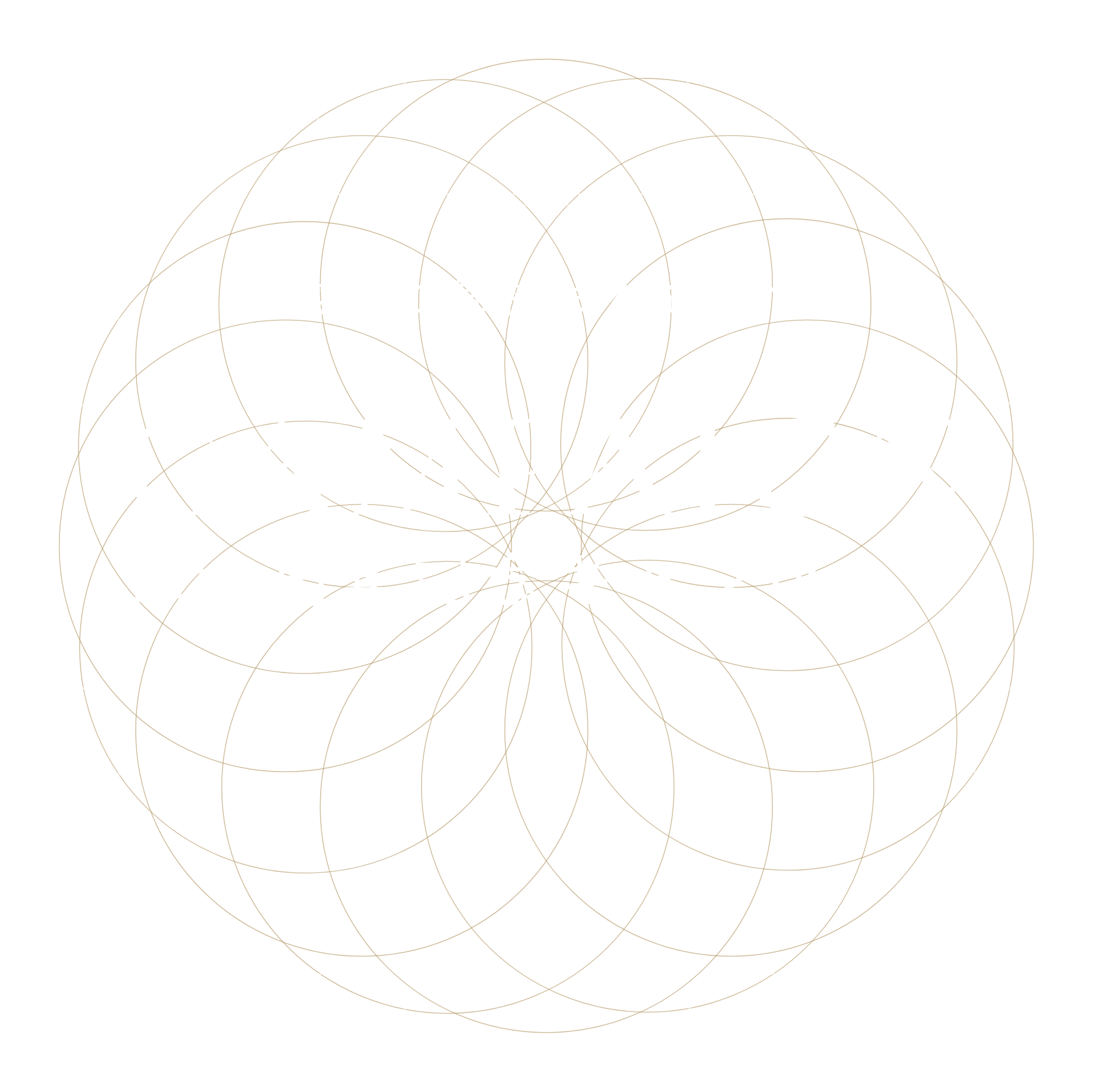 感謝の気持ちを込めて CAMPAIGN 300周年記念キャンペーン
