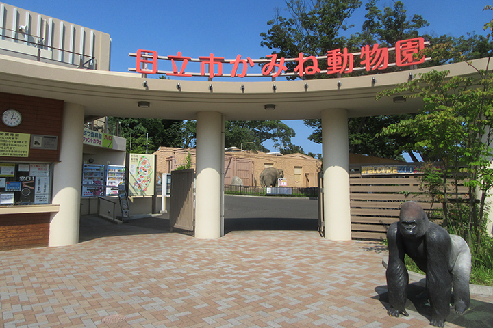 日立市かみね動物園